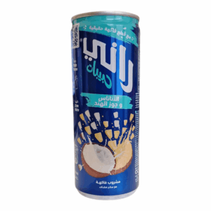 Rani Kokosnuss &Ananas 240mlx24